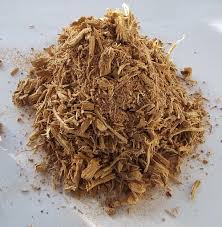 Image result for Mondia ecornuta