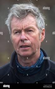 More cranes hi-res stock photography and images