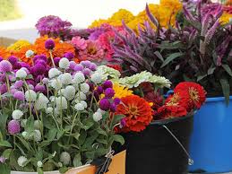 Maybe you would like to learn more about one of these? Charleston Floral Gift Boutique Charleston Flower Market