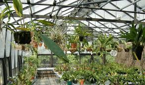 Check spelling or type a new query. Greenhouse Plant Hangers Solar Innovations