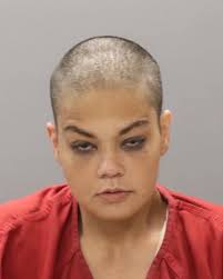 Amanda Renea Martinez Arrest Record in Knox County, Tennessee