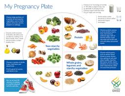 My Pregnancy Plate Center For Womens Health Ohsu
