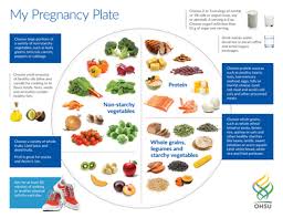 my pregnancy plate center for womens health ohsu