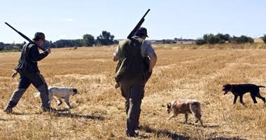 La actividad cinegética generó 3.583 millones en Andalucía el pasado año -  Noticias - Tuslances.com - Tu portal de Caza y Pesca en Internet