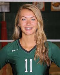 Girls volleyball: Lake County all-area team