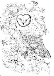 Print on 8.5 x 11 paper for best results. Pin By Darlene Andrews On Owl Stuff Owl Coloring Pages Abstract Coloring Pages Bird Coloring Pages
