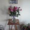 All this time it was owned by lakeland flowers & gifts of lakeland flowers & gifts, it was hosted by amazon technologies inc. Top 1 029 Avas Flowers Reviews Page 15