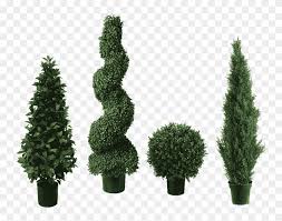 We did not find results for: Topiary Trees Topiary Hd Png Download 800x800 1095674 Pngfind