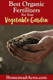 My next tip for deciding on the best gardening fertilizer is simple: 10 Best Organic Fertilizers For Your Vegetable Garden Homestead Acres