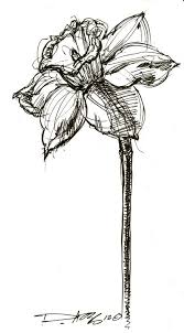 Pin By Daniela Duque M On Art Design Flower Sketches Art Daffodil Tattoo