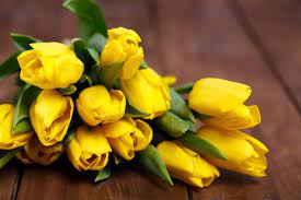 We did not find results for: Yellow Flowers Meaning Flower Meaning
