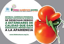 Resultado de imagen para día mundial del medio ambiente