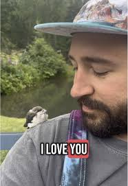 Bird Impression Kid Samuel