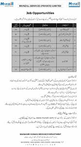 Munzill Services Private Limited Jobs 2020 Bise World Pakistani Education Entertainment Classroom Jobs Job Latest Jobs In Pakistan