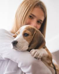 OVC Veterinary Clinical Trials (@ovcclintrials) • Instagram photos and  videos