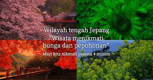 Bunga matahari ini membutuhkan waktu sekitar 3 bulan dari. Tempat Yang Menarik Untuk Melihat Bunga Di Wilayah Tengah Wilayah Tengah Jepang Wisata Menikmati Bunga Dan Pepohonan Tentang Bandara Internasional Chubu Centrair