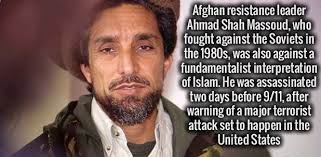 34 Amusing Facts To Entertain Your Brain Massoud Facts Fun Facts