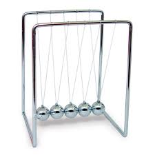 Image result for Ctenium newtonii