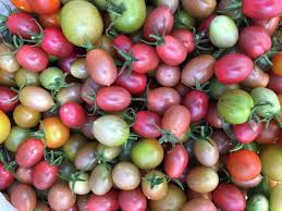 Perfect tomatoes, depending on your taste preference, usually have a balance between tart and sweet flavors. How To Grow Tomatoes In Houston Pilar S Chilean Food Garden