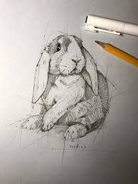 Check spelling or type a new query. 40 Free Easy Animal Sketch Drawing Information Ideas Brighter Craft