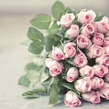 The Meaning Of Every Rose Color In 2020 Flowers Pale Pink Roses Beautiful Roses