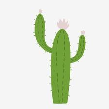 Download cartoon cactus images and photos. Cute Cactus Green Cactus Cartoon Cactus Cactus Cactus Clipart Green Cartoon Png And Vector With Transparent Background For Free Download