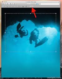 To try this yourself, you'll want to have an image handy. How To Crop An Image In Mac Os X With Preview Osxdaily