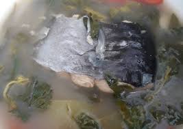 Banyak hidangan aneka resep masakan yang terbuat dari bahan ikan patin diantaranya ikan patin bakar ikan patin goreng pepes ikan patin sop ikan patin dsb. Cara Masak Pindang Ikan Patin Kemangi Yang Enak Resepenakbgt Com