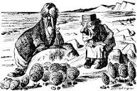 The Walrus and the Carpenter - Wikipedia