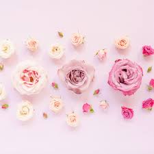 Find the best floral desktop wallpaper on getwallpapers. Free 2019 Floral Desktop Wallpapers Archives Justinecelina