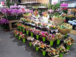 Openflor Aujourd Hui Chez Openflor Lambersart Nos Facebook