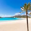Mallorca 13 juli 2019 cala major. Https Encrypted Tbn0 Gstatic Com Images Q Tbn And9gcq Laylxbtzz24vo86xh Gs987daugvtmtmbrh37dzoshnloavb Usqp Cau