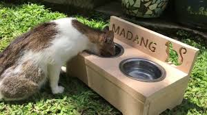 Beli diy kandang kucing online berkualitas dengan harga murah terbaru 2021 di tokopedia! Membuat Tempat Makan Kucing Dari Kayu Jati Belanda Diy Diycatbowlstand Tempatmakankucing Youtube