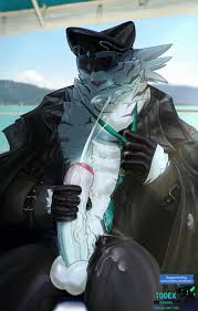 Todex hentai videos, GIFs, and images | R34.app