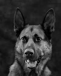 Results for competitions in February 2024 Competition