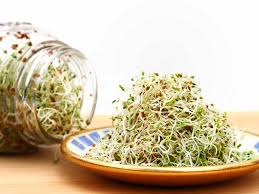 raw sprouts benefits and potential risks