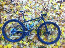 Ingelheim Ritchey P29er Bicicletas