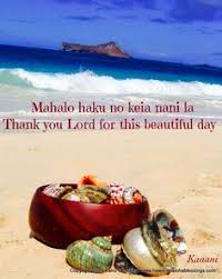 28 Hawaiian Quotes Ideas Hawaiian Quotes Hawaiian Hawaii Quotes