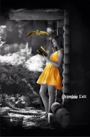 Black And White With Pop Of Color Art Https Encrypted Tbn0 Gstatic Com Images Q Tbn 3aand9gcslkfwmtqr0bfxseleqfqarisgwfcglofeiaa Usqp Cau