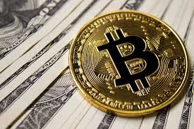 Out of 74 countries in the statista global consumer survey, nigerians were the most likely to say they used or owned. Cryptocurrency The Borgen Project