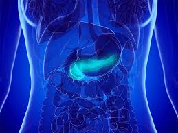 Unfortunately, pancreatic cancer usually shows little or no symptoms until it has advanced and spread. Il 17 Receptor S B Team May Be Pancreatic Cancer Target 2021 03 09 Bioworld