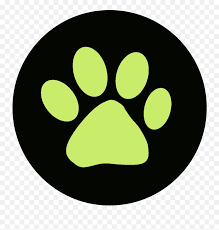 At logolynx.com find thousands of logos categorized into thousands of categories. Transparent Ladybug Yoyo Cat Noir Logo Png Miraculous Logo Free Transparent Png Images Pngaaa Com