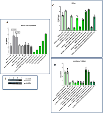 Covid 19 And Smoking Is Nicotine The Hidden Link European Respiratory Society