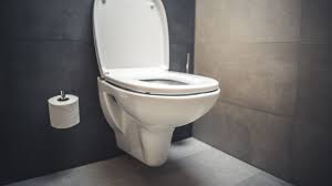 Installation of geberit one wc with duofix. Toilet Fixing Frame Buying Guide
