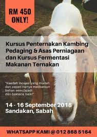 Infoagribisnis mengulas pertanian indonesia, pertanian organik dan modern, peternakan sapi, ayam, kambing. Untuk Tahun Ni Tinggal 2 Kali Lagi Kursus Penternakan Kambing Asas Perniagaan 1 Sandakan 14 16 September 2018 2 Kota Kinabalu 16 18 November 2018 Jadi Kepada Yang Ingin Memulakan Projek