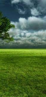 Choose from a curated selection of 4k wallpapers for your mobile and desktop screens. 900 4k Phone Wallpaper Ideas Phone Wallpaper 4k Phone Wallpapers Wallpaper