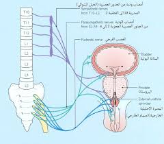 الص لب والت رائب حبل الله