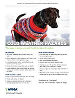 cold weather animal safety american veterinary medical