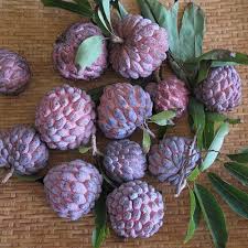 Here are 15 exotic fruits that every foodie should try, all available here in the united states. Exotic Fruits And Vegetables Different Uncommon Fruits And Vegetables