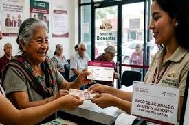 INAPAM aclara si existe descuento del 50% en el recibo de CFE para adultos mayores